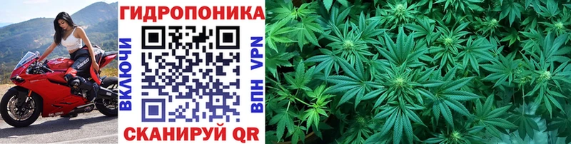 Купить закладку Cocaine Амфетамин ГАШИШ Меф мяу мяу Alpha PVP Каменск-Уральский