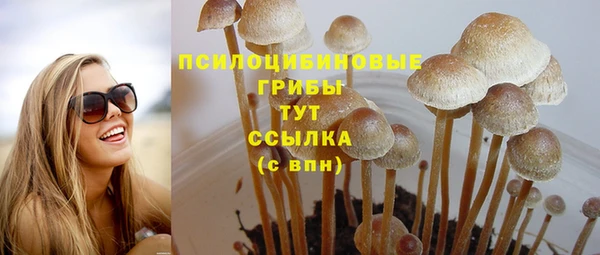 прущие крисы Кукмор