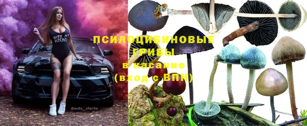 mdma Краснослободск