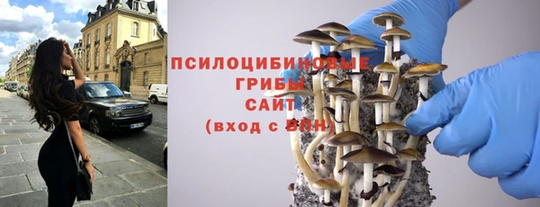 прущие крисы Кукмор